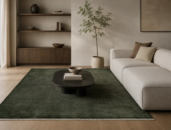 Premium hand knotted wool rug styled in a contemporary home interior
